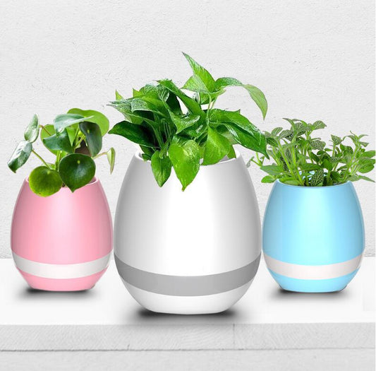 Music Flowerpot