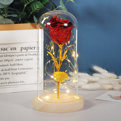 Mothers Day Gift Enchanted Forever Rose Flower In Glass LED Light Home Decoration