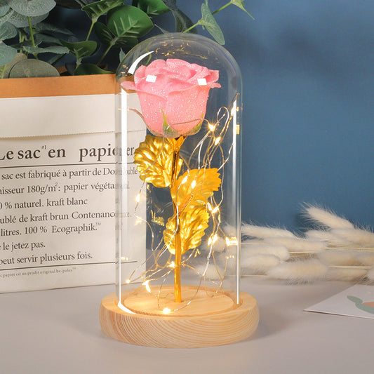 Cadeau de fête des mères, fleur de Rose enchantée pour toujours, lumière LED en verre, décoration de la maison