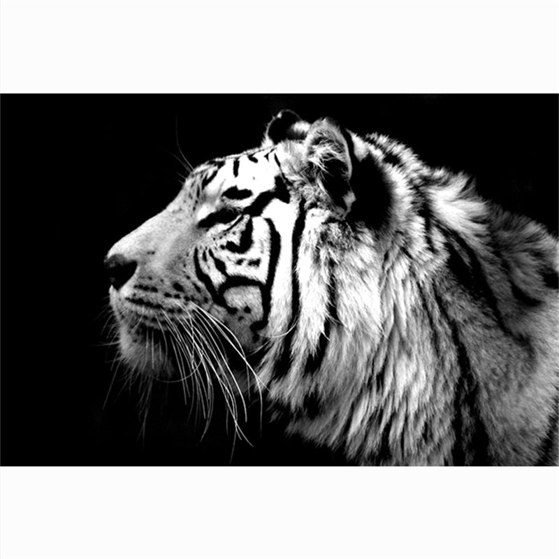 Pintura en lienzo de animales modernos, carteles en blanco y negro con cabeza de tigre