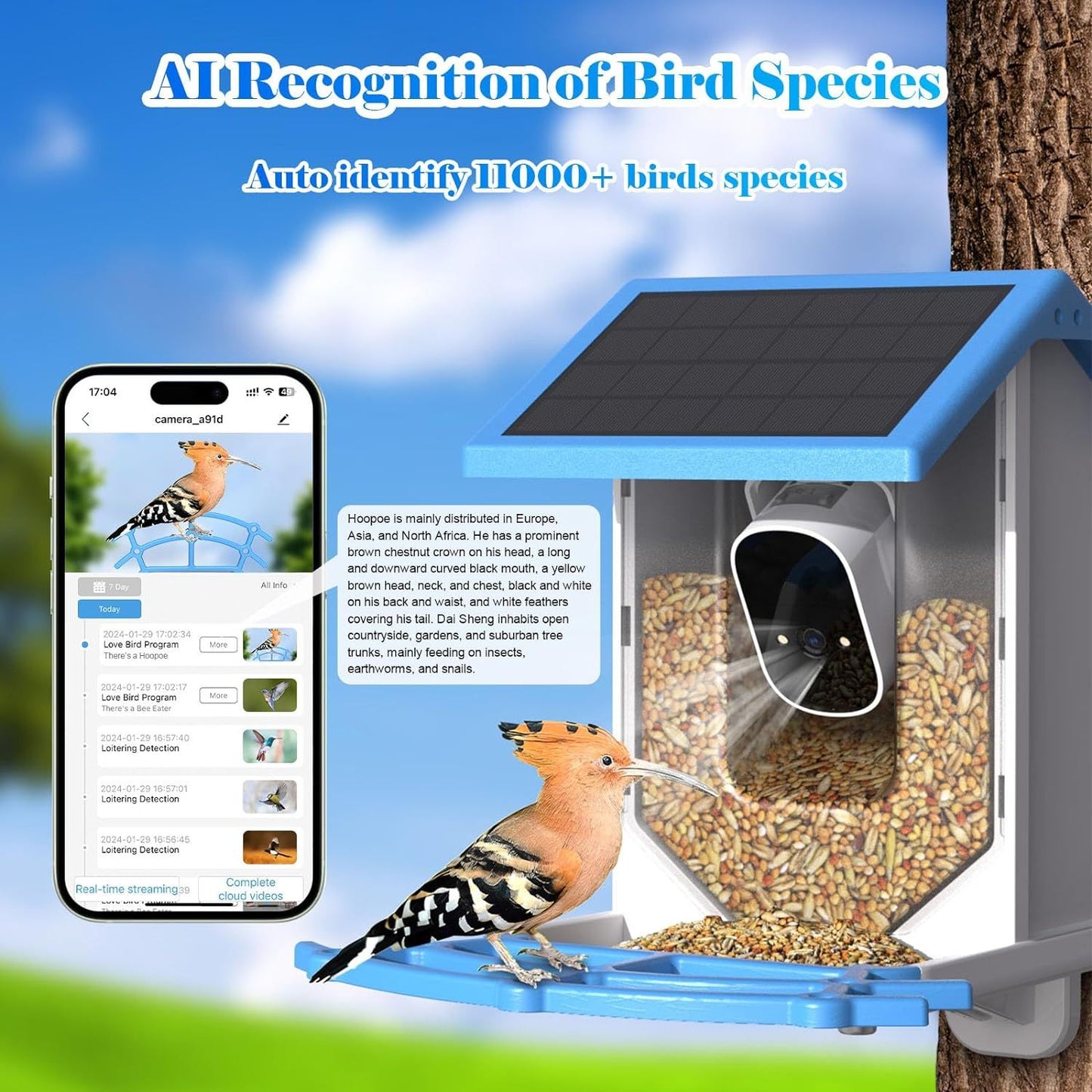 Comedero Inteligente Para Pájaros Con Cámara,Cámara En Vivo WiFi De 4MP Con Energía Solar,Identificación De Especies De Aves Por IA Captura Automática Observación De Aves En El Jardín Y Detección De Movimiento,Regalo Ideal Para Amantes De Las Aves,Azul