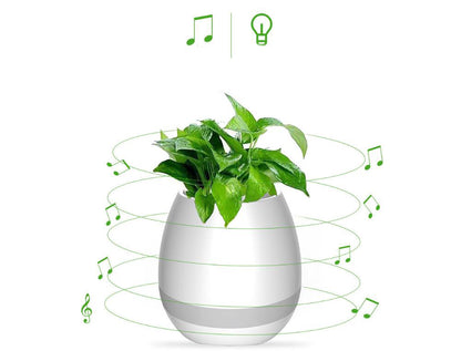 Music Flowerpot