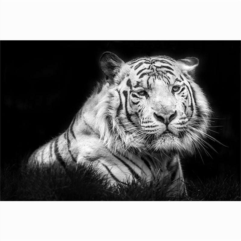 Pintura en lienzo de animales modernos, carteles en blanco y negro con cabeza de tigre