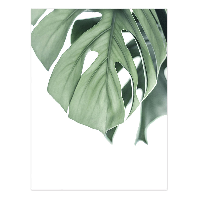 Affiche de plantes tropicales de style nordique, feuilles vertes Impression sur toile