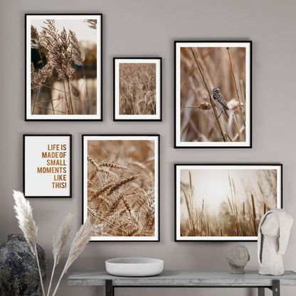 Natural Landscape Plant Wheat Reed Decorative Canvas Painting