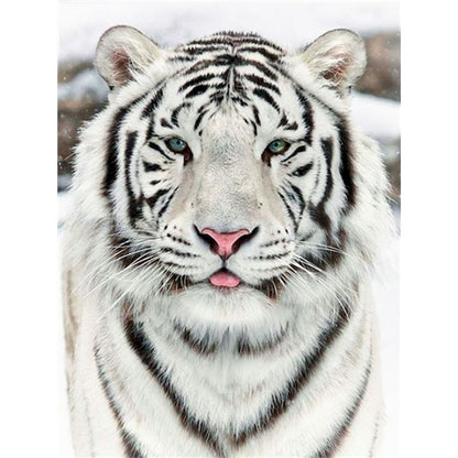 Pintura de tigre blanco por números