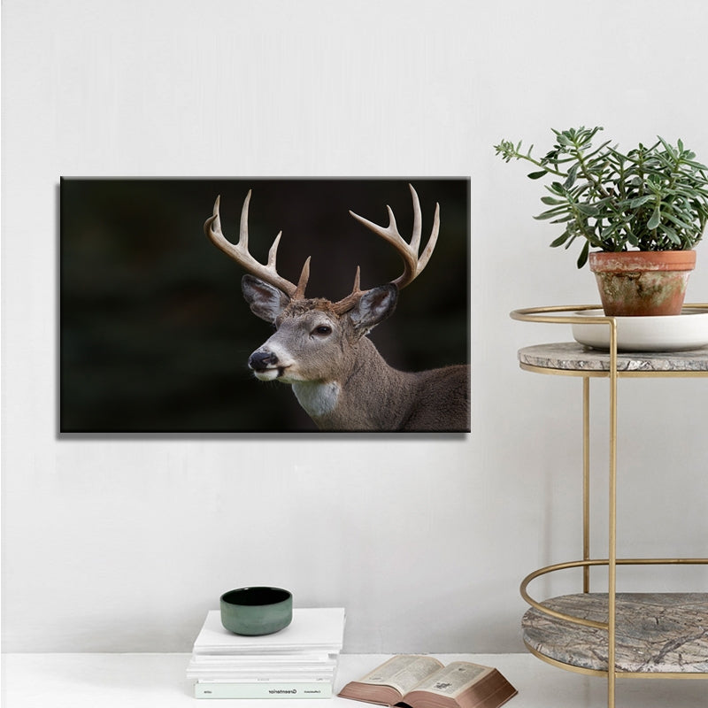 Accueil faune cerf affiche toile peinture