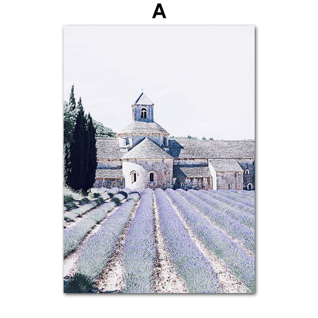 Paisaje de bicicleta de lavanda de campo de flor púrpura Póster