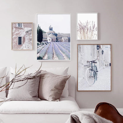 Paysage de vélo de lavande de champ de fleurs pourpres Poster