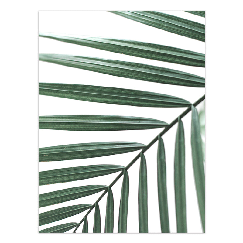 Affiche de plantes tropicales de style nordique, feuilles vertes Impression sur toile