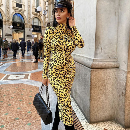 Ladies leopard print velvet slim dress