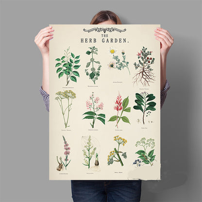 Vintage Herb Garden Botanical Education Poster Wall Art Print