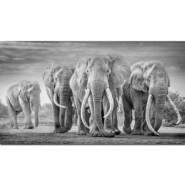 Póster moderno de elefante en lienzo con estampado de animales, imagen de pared en blanco y negro