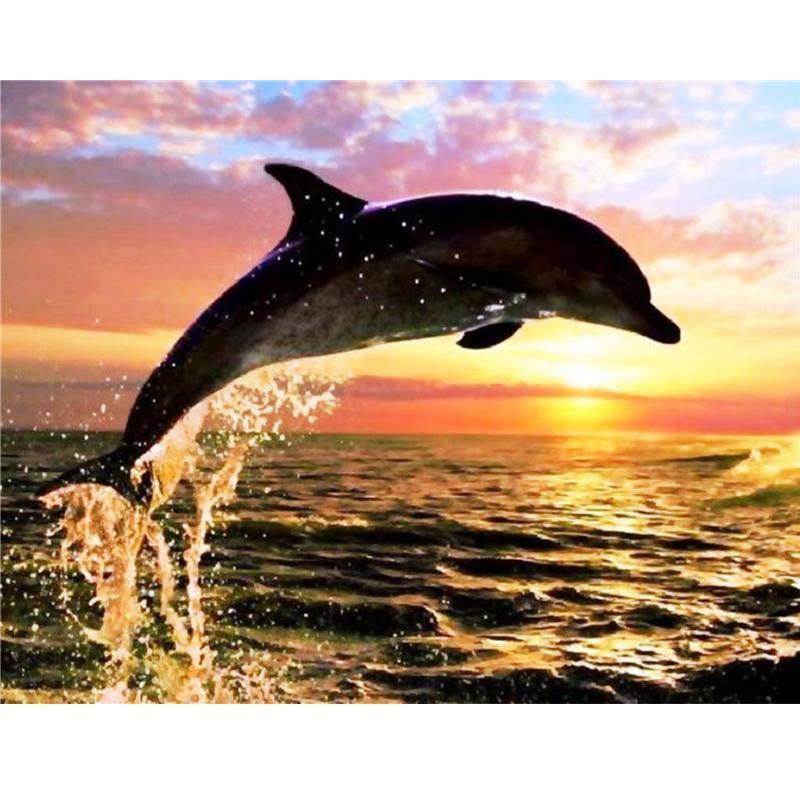 XXL - 5D Diamond Painting - Delfin bei Sonnenuntergang