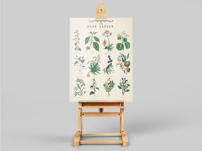 Vintage Herb Garden Botanical Education Poster Wall Art Print