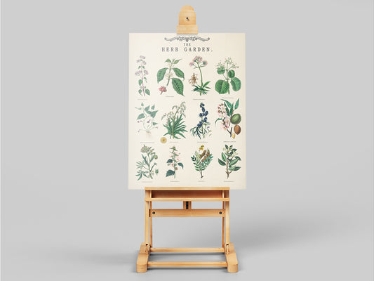 Vintage Herb Garden Botanical Education Poster Wall Art Print