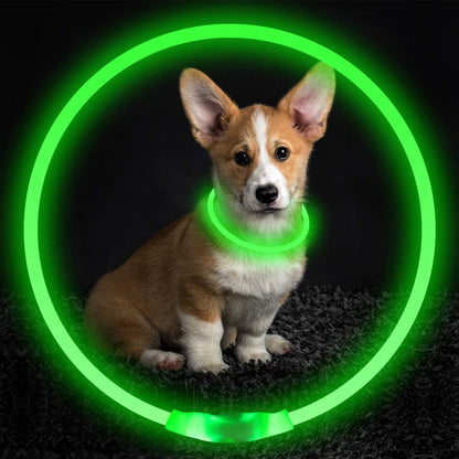 Collar intermitente para mascotas, Collar brillante recargable por USB, Collar de seguridad iluminado, collares para caminar de noche, Collar eléctrico para perros de neón