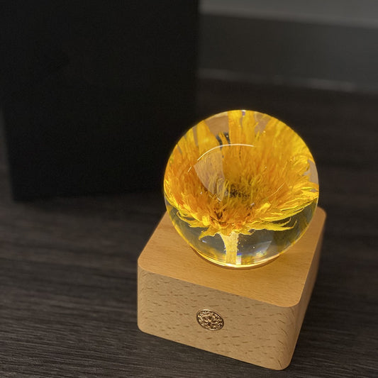 Lampe de nuit à spécimen de fleur avec base en bois