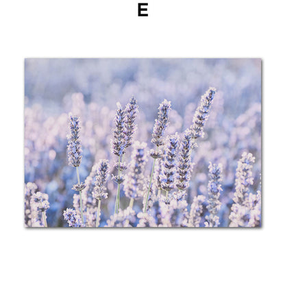 Purple Flower Field Lavender Bicycle Landscape Poster