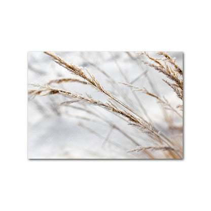 Wild Boho Woman Grass Reed Poster Nordic Canvas