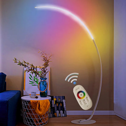 Nordic modern arc LED floor lamp, dimmable and colorful control black and white art deco lighting for living room and bedroom