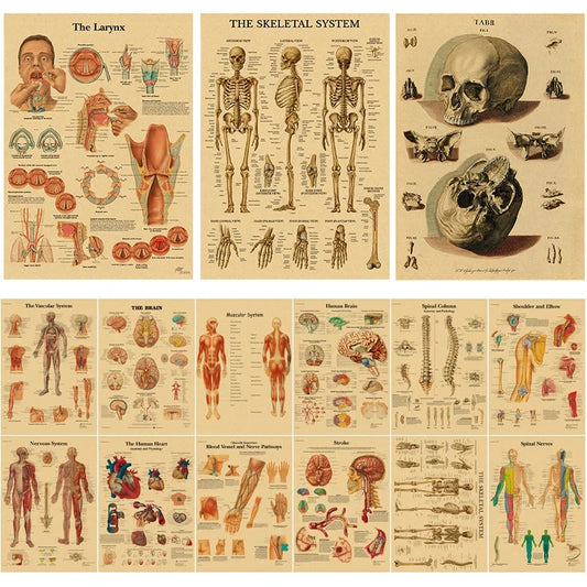 Pósteres retro de los sistemas de órganos del cuerpo humano, impresiones en papel Kraft de anatomía del esqueleto, pinturas de decoración de pared para el hogar y la habitación