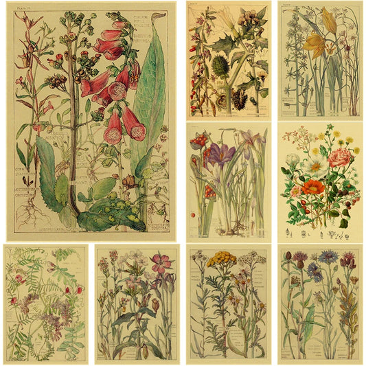 Retro Wild Flower Poster Botanical Illustrations Kraft Paper Prints Vintage Home Room Cafe Bar Art Wall Decor Aesthetic Painting