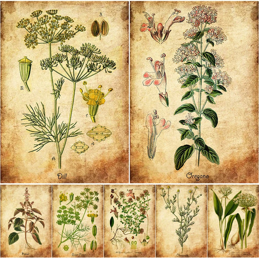 Affiche rétro de fleurs d'herbes Illustrations botaniques à base de plantes vintage Impressions Photo Plantes Maison Chambre Cuisine Art Décoration murale Peinture