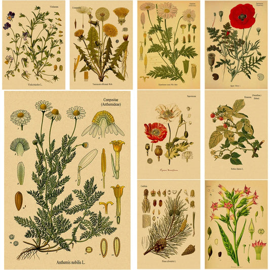 Pósteres con impresiones botánicas retro, ilustración de flores y plantas de papel Kraft, arte vintage para sala de estudio en casa, decoración de pared, pintura estética