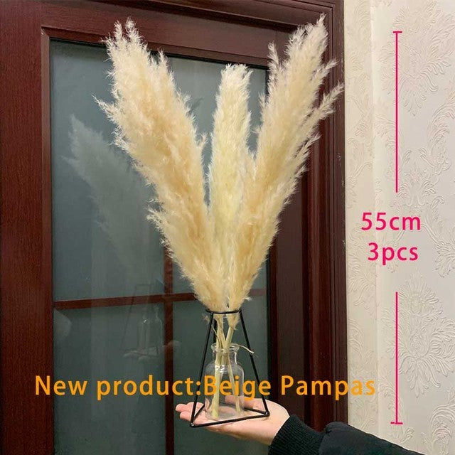 Dried Pampas Grass Decor Fluffy Tall Wedding Flowers