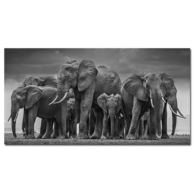 Póster moderno de elefante en lienzo con estampado de animales, imagen de pared en blanco y negro