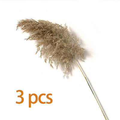 Dried Pampas Grass Decor Fluffy Tall Wedding Flowers