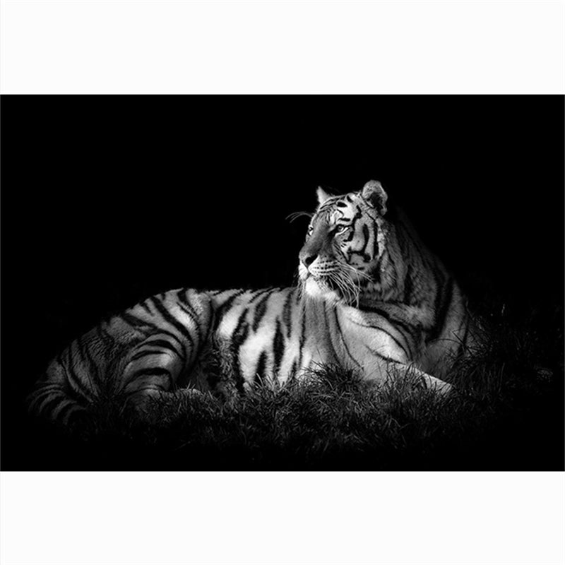 Modern Animal Canvas Painting Tiger Head Black And White Posters