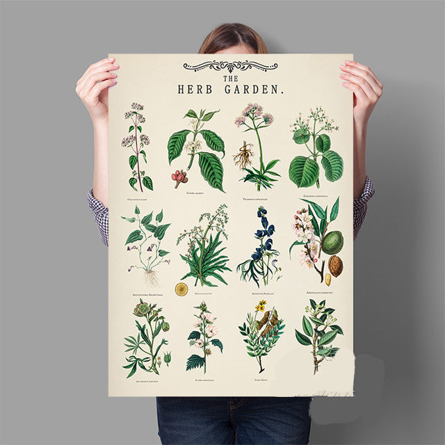 Vintage Herb Garden Botanical Education Poster Wall Art Print