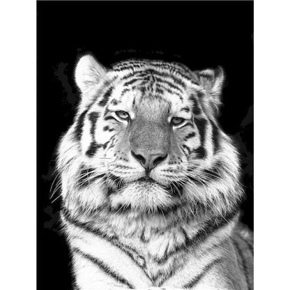 Pintura de tigre blanco por números