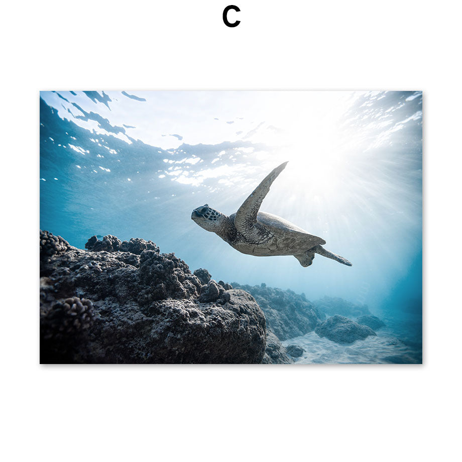 Scuba Diving Wall Art Canvas Dolphin Jellyfish Sea Turtle Marine Nordic Poster