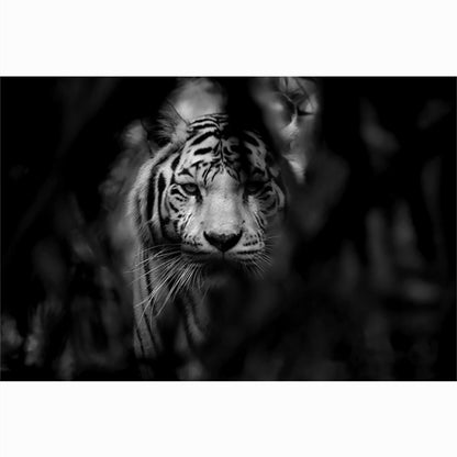 Pintura en lienzo de animales modernos, carteles en blanco y negro con cabeza de tigre