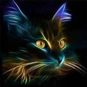 Neon And Gorgeous Cat Pattern Diamond Painting