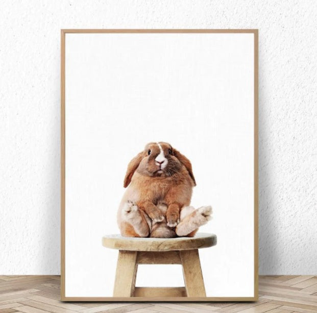 Sitting Cute Rabbit Canvas Poster