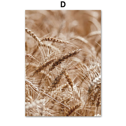 Natural Landscape Plant Wheat Reed Decorative Canvas Painting